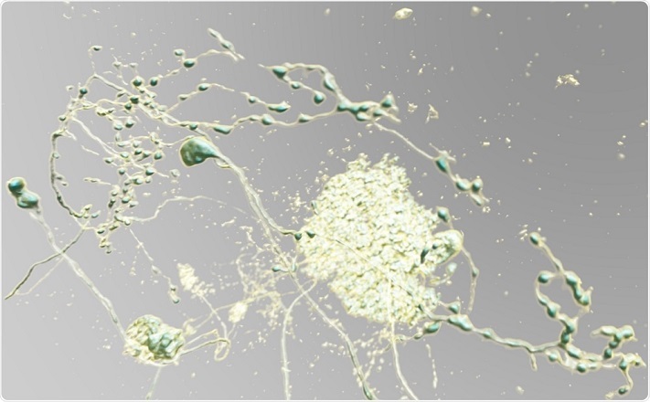 Observation d&rsquo;images microscopiques 3D à l&rsquo;aide de la réalité virtuelle