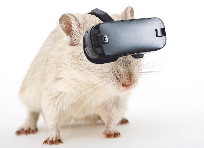 Votre cerveau n&rsquo;est pas le même dans la réalité virtuelle que dans le monde réel