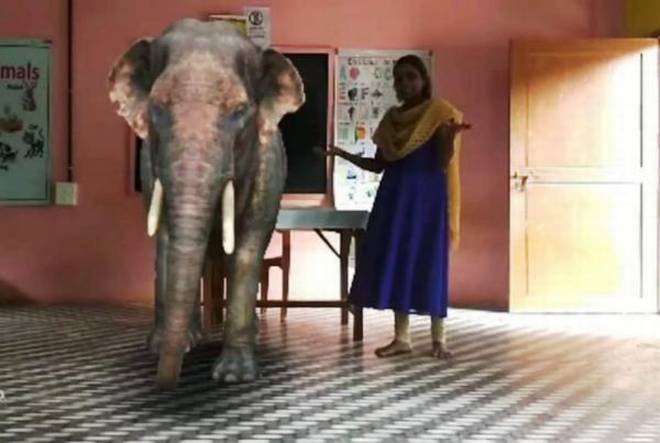 Éléphant dans la pièce : Comment la réalité augmentée fait passer les cours en ligne à un niveau supérieur