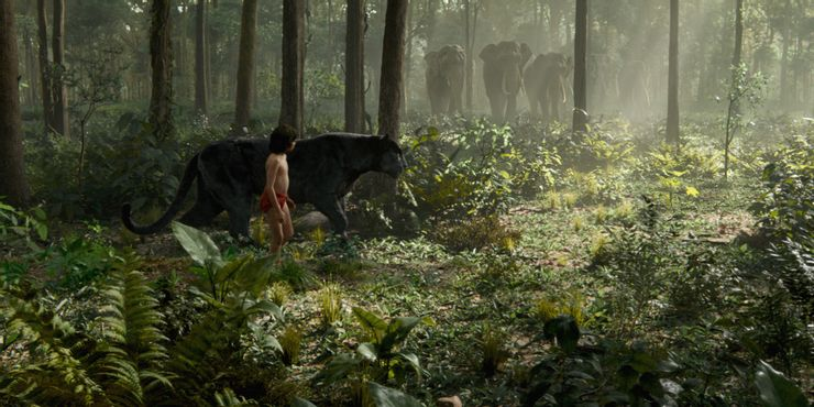 film vr netflix - Jungle Book