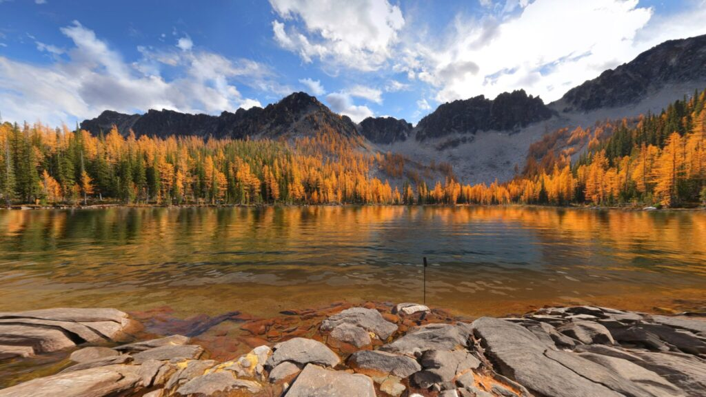 Pêchez sur la côte ouest américaine dans le prochain DLC de Real VR Fishing