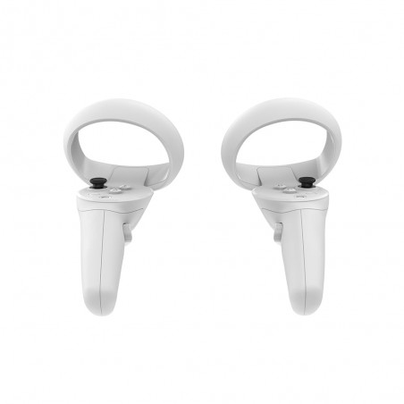 Contrôleurs pico neo 3